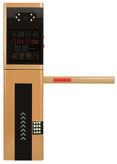 DAOZYITJ c.png